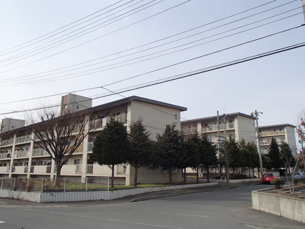 元木の外観